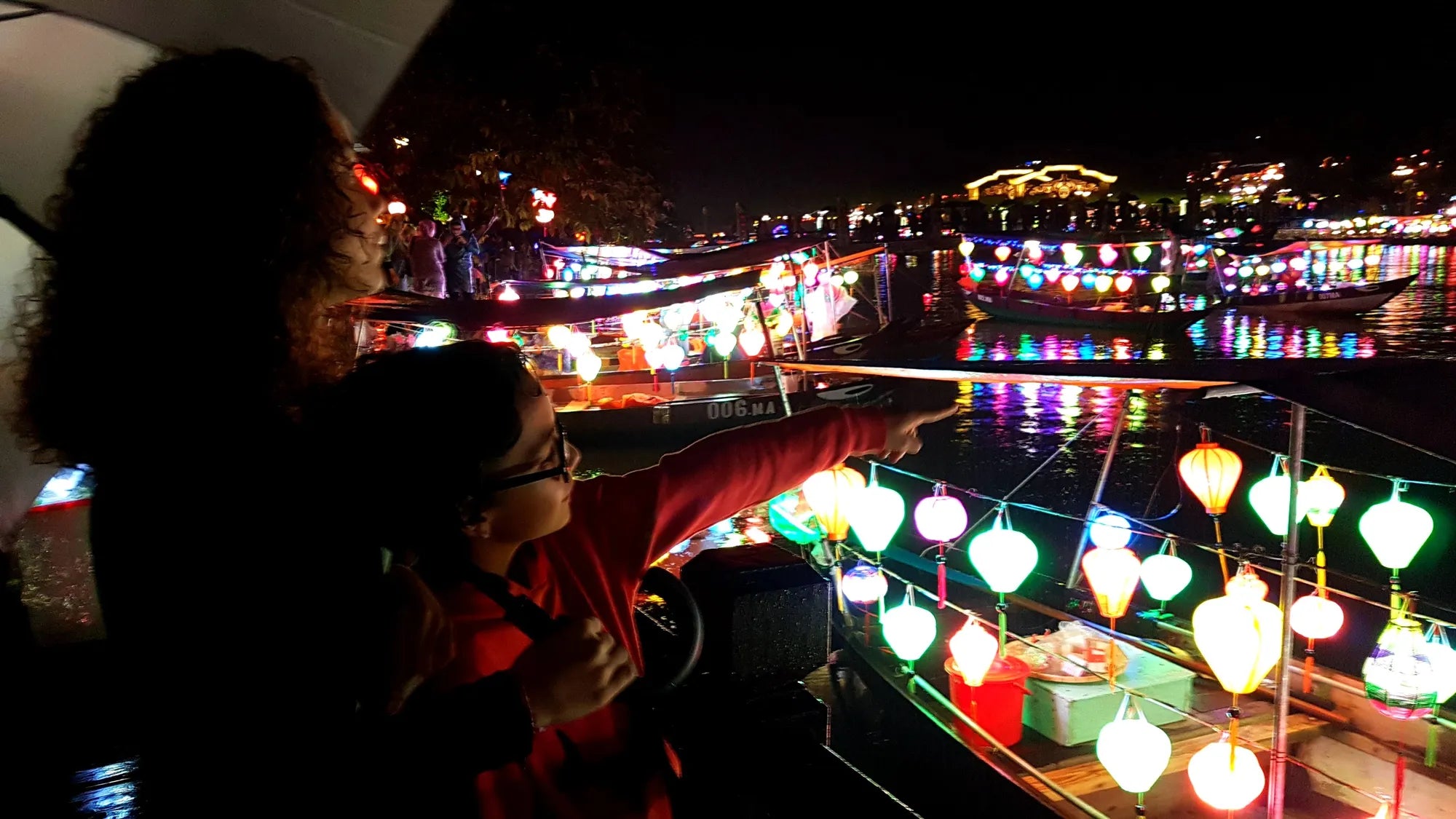 Vietnam : lumières du sud, rizières du nord