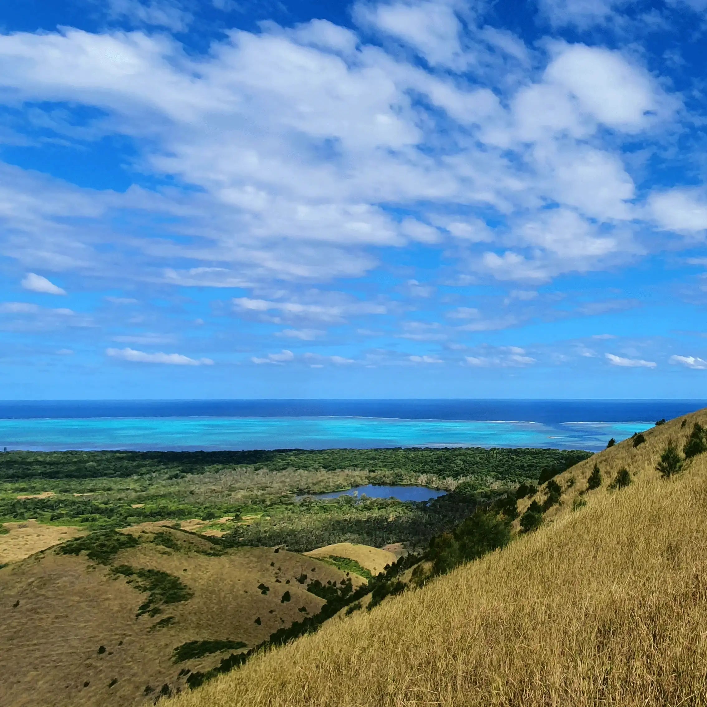 Affiches de Nouvelle-Calédonie
