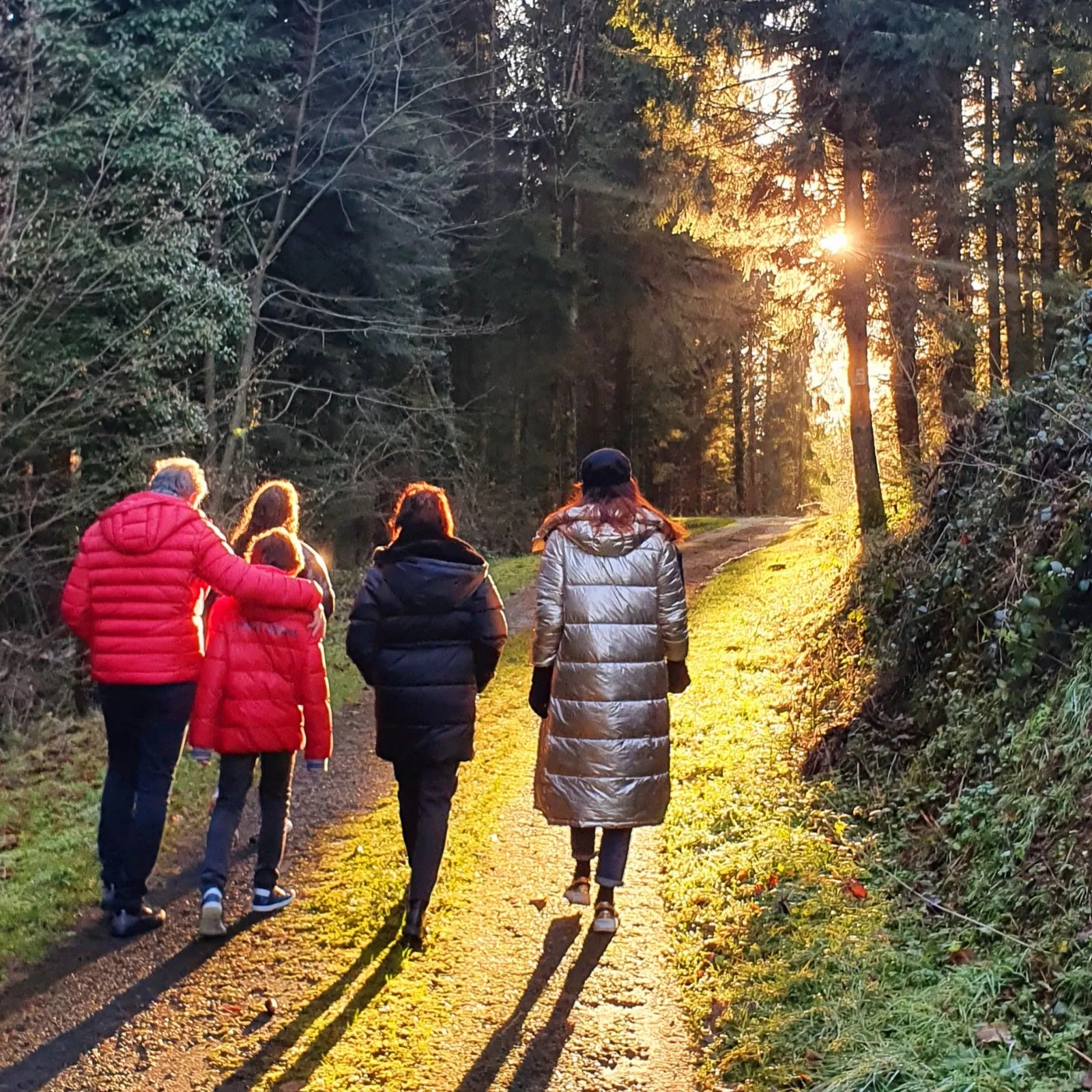 Famille marchant dans une forêt des Vosges au coucher du soleil, lumière à travers les arbres.