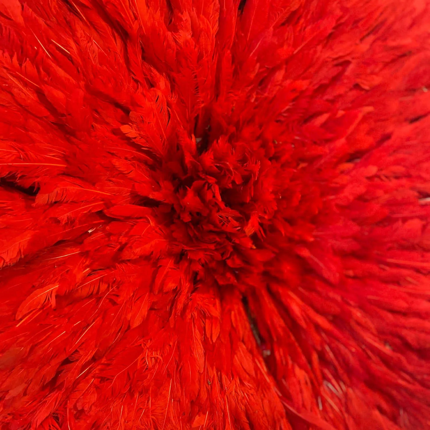 Juju hat rouge – décoration murale en plumes