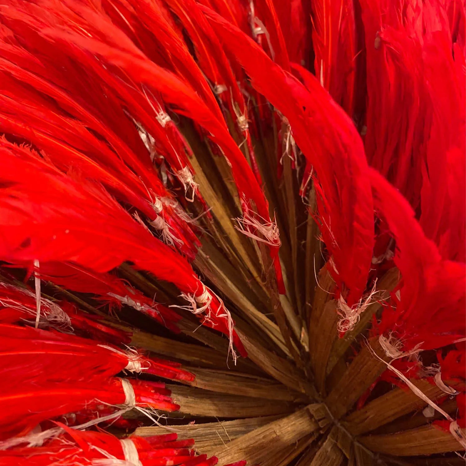 Juju hat rouge – décoration murale en plumes
